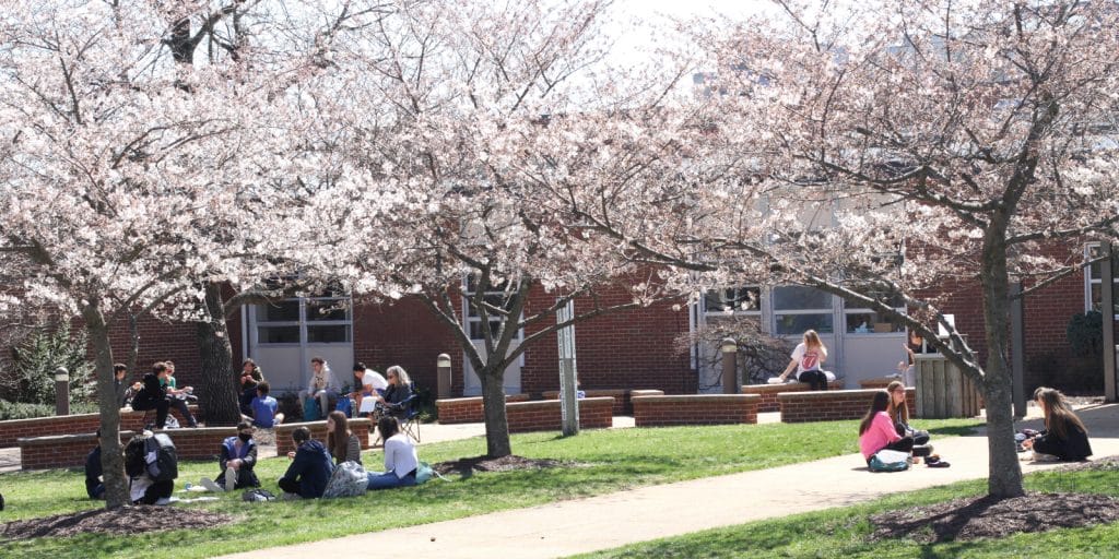  One year ago, the image here showed the same trees in full bloom and an empty sidewalk. This spring the same scene was filled with life thanks to masks, distancing, and other safety measures.