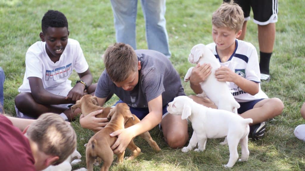 Mr. Martin's puppies visit for puppy therapy.