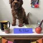 Elliot, teaching "assistant" for 5th grade.