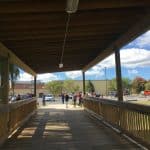 Waiting by the bridge on a fall day